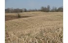 Property photo 16 - 137 Acres in 2 Tracts - 64 Tillable Acres, Potential Building Sites, Hunting